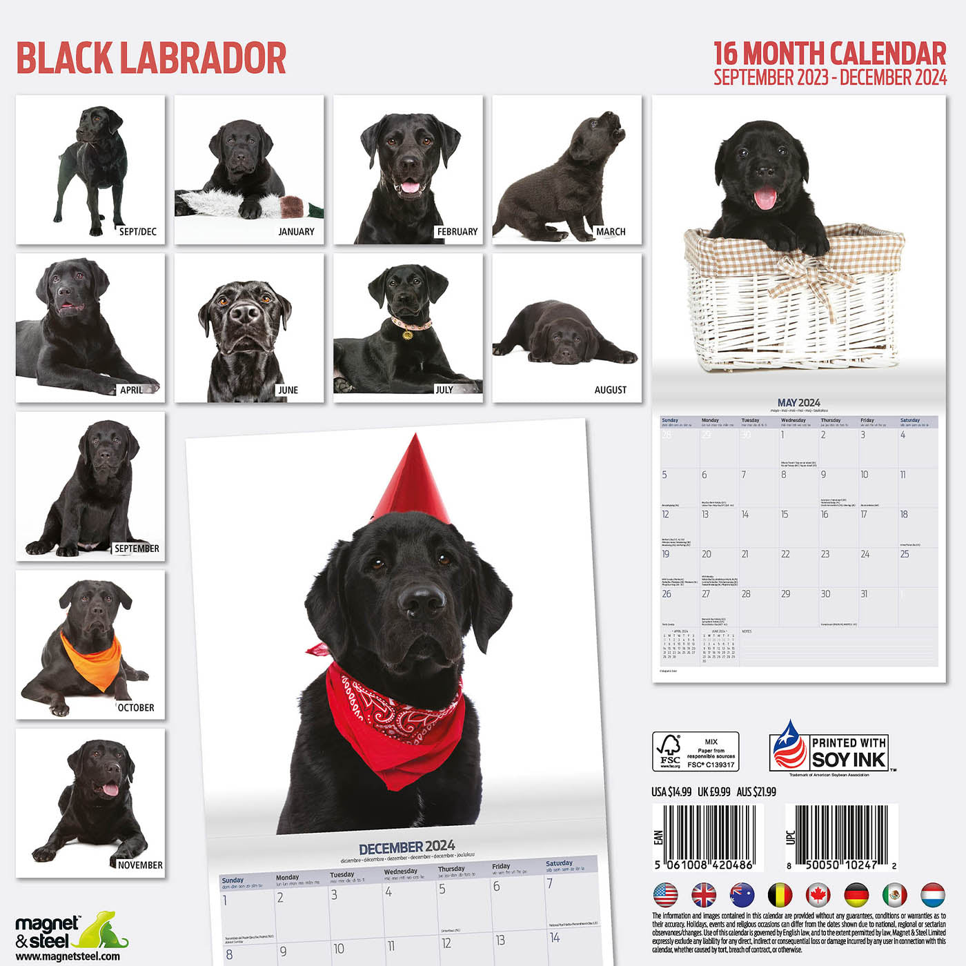 Black Labrador Modern Calendar 2024