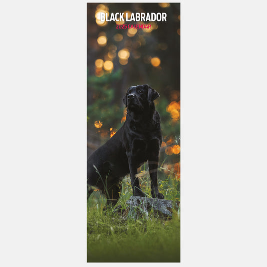 Black Labrador Slim Calendar 2025