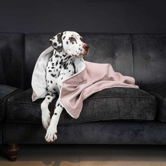 Dog & Puppy Blanket in Blossom Velvet By Lords & Labradors