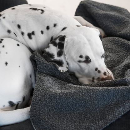 Discover Our Luxurious Dog Blanket In Luxury Granite Bouclé Super Soft Sherpa & Teddy Fleece Lining, The Perfect Blanket For Puppies, Available To Personalise And In 2 Sizes Here at Lords & Labradors
