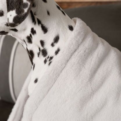  Discover Our Luxurious Anti-Anxiety Dog Blanket In Luxury Cream With Super Soft Plush & Short Faux Fur, The Perfect Blanket For Puppies, Available To Personalise And In 2 Sizes Here at Lords & Labradors