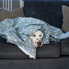 Dog & Puppy Blanket in Spots & Stripes by Lords & Labradors