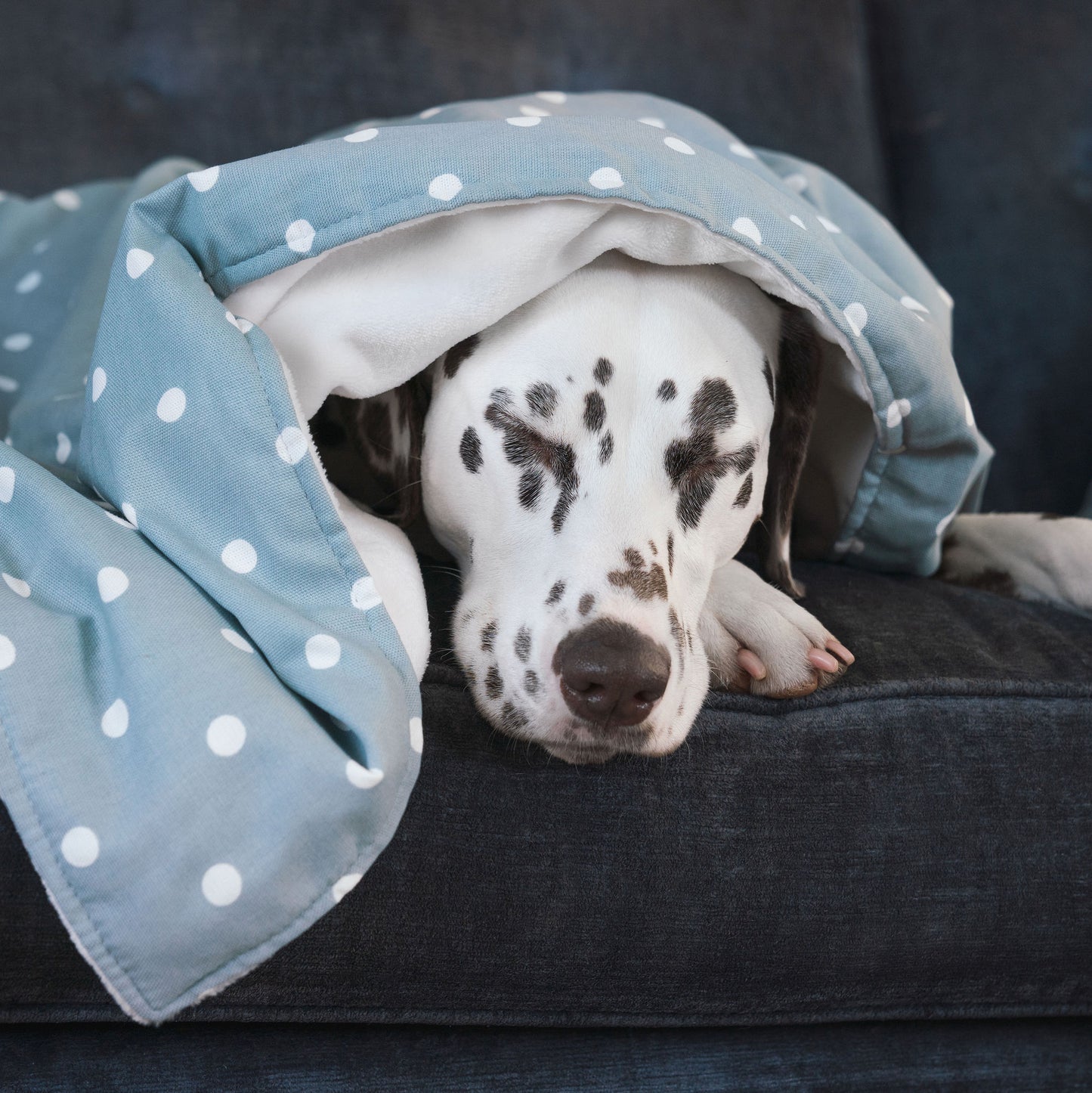  Discover Our Luxurious Dog Blanket In Stunning Duck Egg Spot, The Perfect Blanket For Puppies, Available To Personalise And In 2 Sizes Here at Lords & Labradors