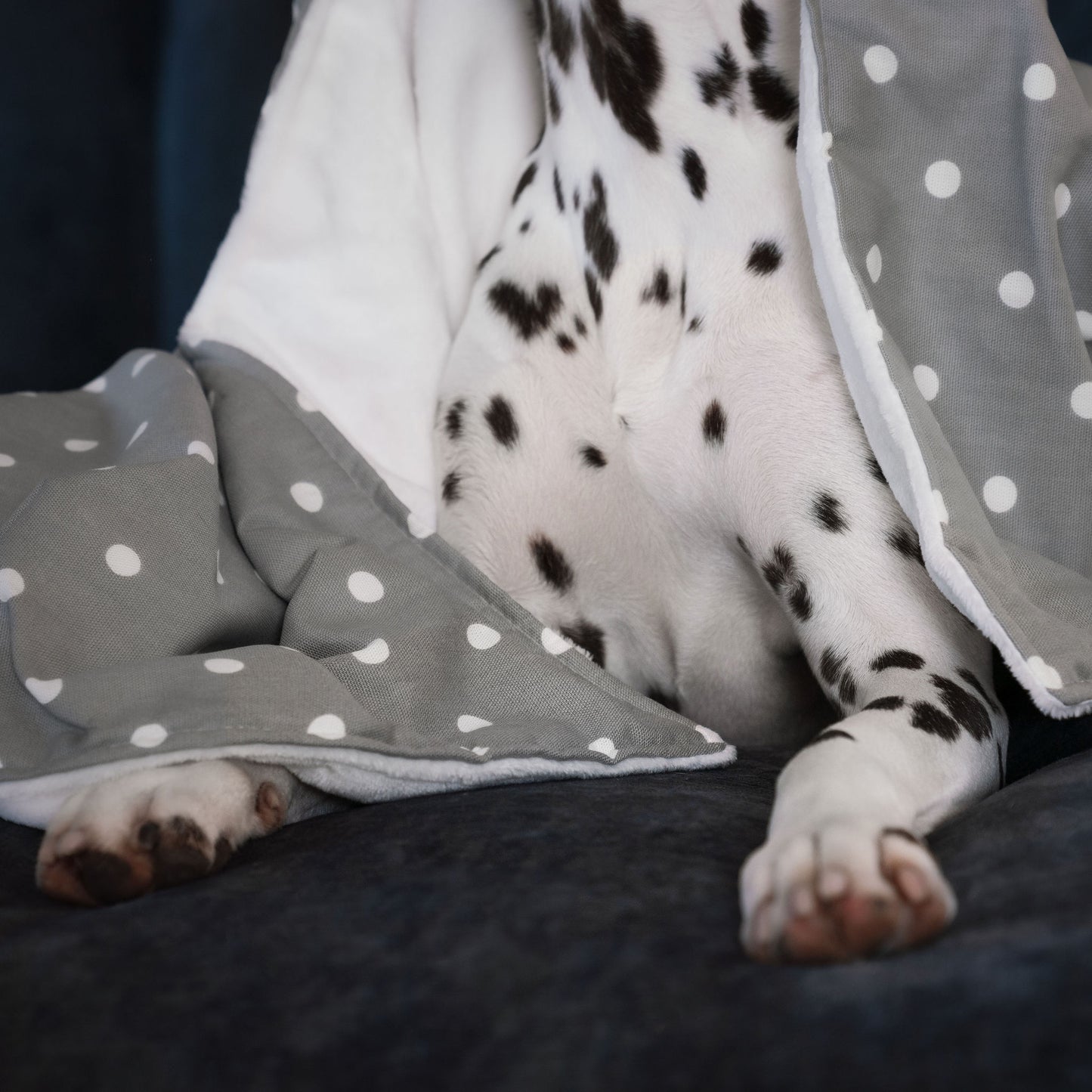  Discover Our Luxurious Dog Blanket In Stunning Grey Spot, The Perfect Blanket For Puppies, Available To Personalise And In 2 Sizes Here at Lords & Labradors