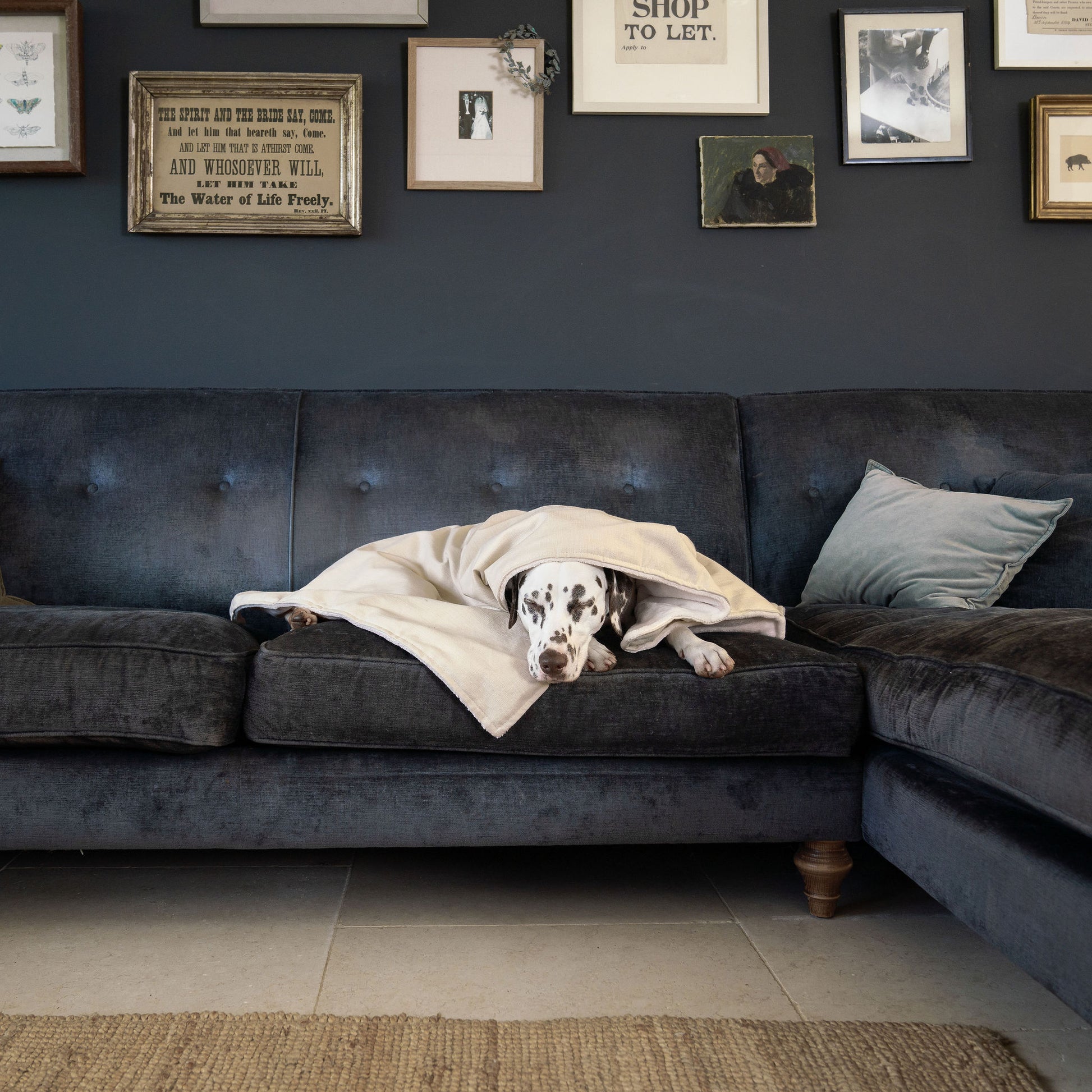  Discover Our Luxurious Savanna Bone Dog Blanket With Super Soft Sherpa & Teddy Fleece, The Perfect Blanket For Puppies, Available To Personalise And In 2 Sizes Here at Lords & Labradors