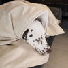Dog & Puppy Blanket in Savanna Bone by Lords & Labradors
