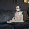 Dog & Puppy Blanket in Savanna Oatmeal by Lords & Labradors
