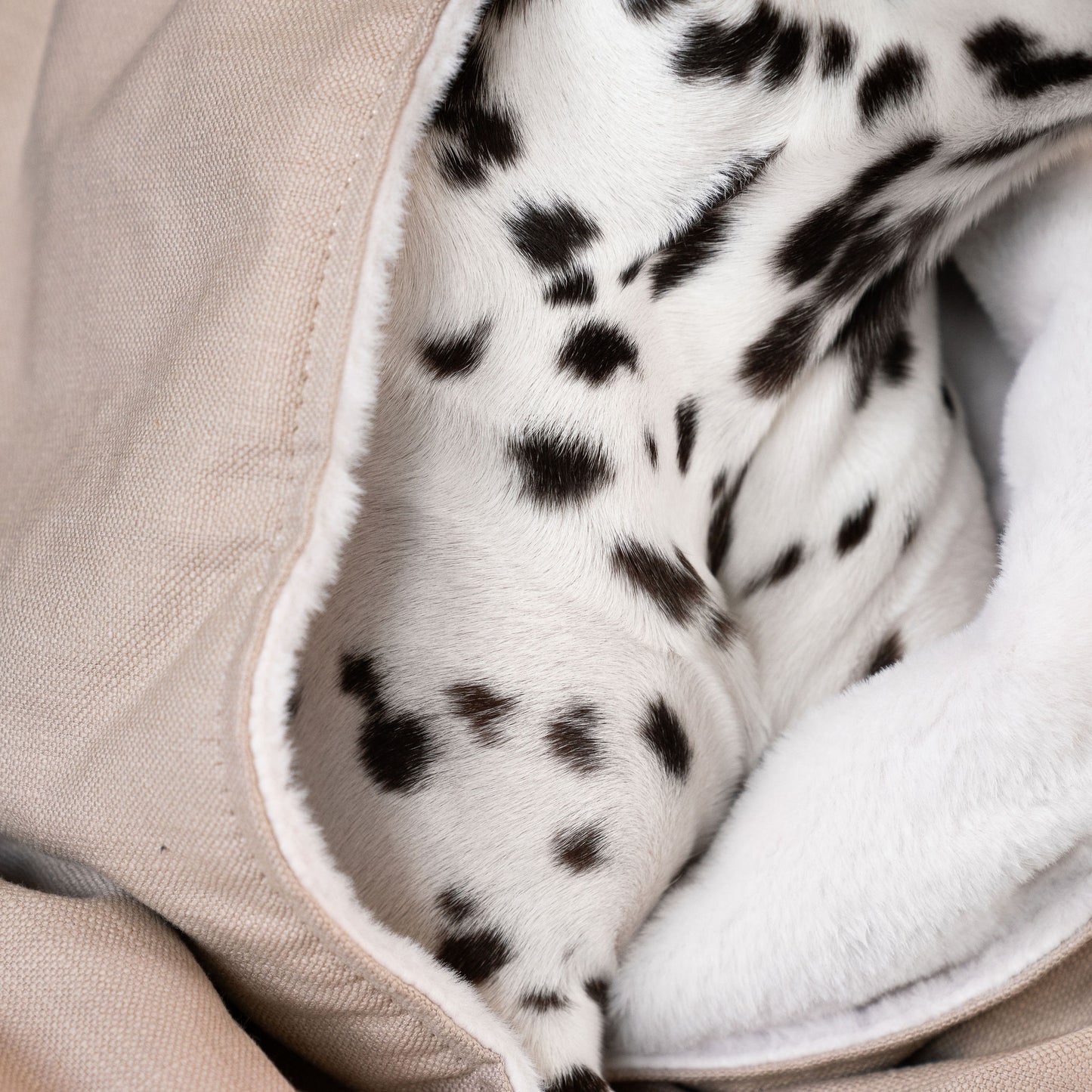  Discover Our Luxurious Savanna Oatmeal Dog Blanket With Super Soft Sherpa & Teddy Fleece, The Perfect Blanket For Puppies, Available To Personalise And In 2 Sizes Here at Lords & Labradors