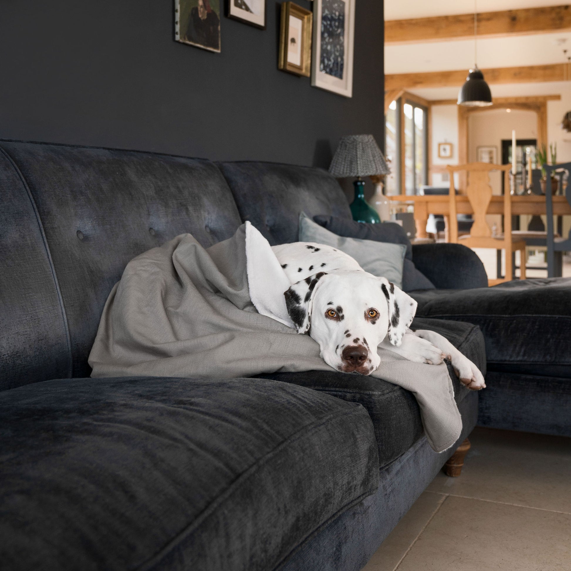  Discover Our Luxurious Savanna Stone Dog Blanket With Super Soft Sherpa & Teddy Fleece, The Perfect Blanket For Puppies, Available To Personalise And In 2 Sizes Here at Lords & Labradors