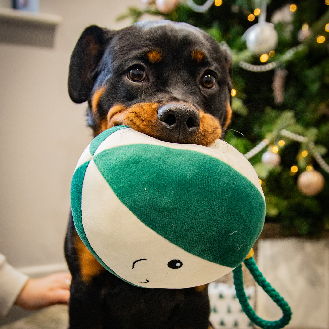 Blitzen Bauble Dog Toy