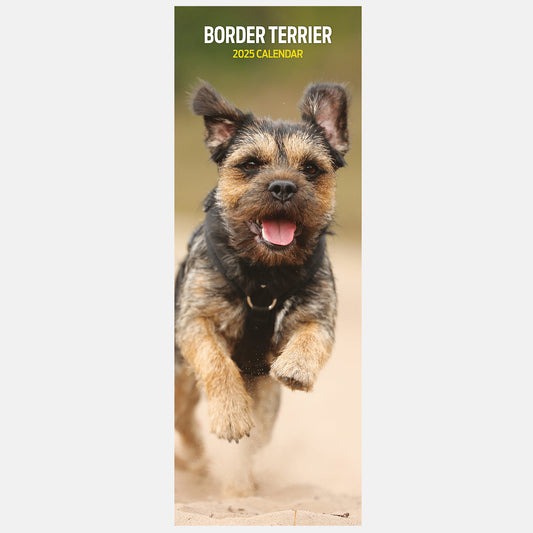 Border Terrier Slim Calendar 2025