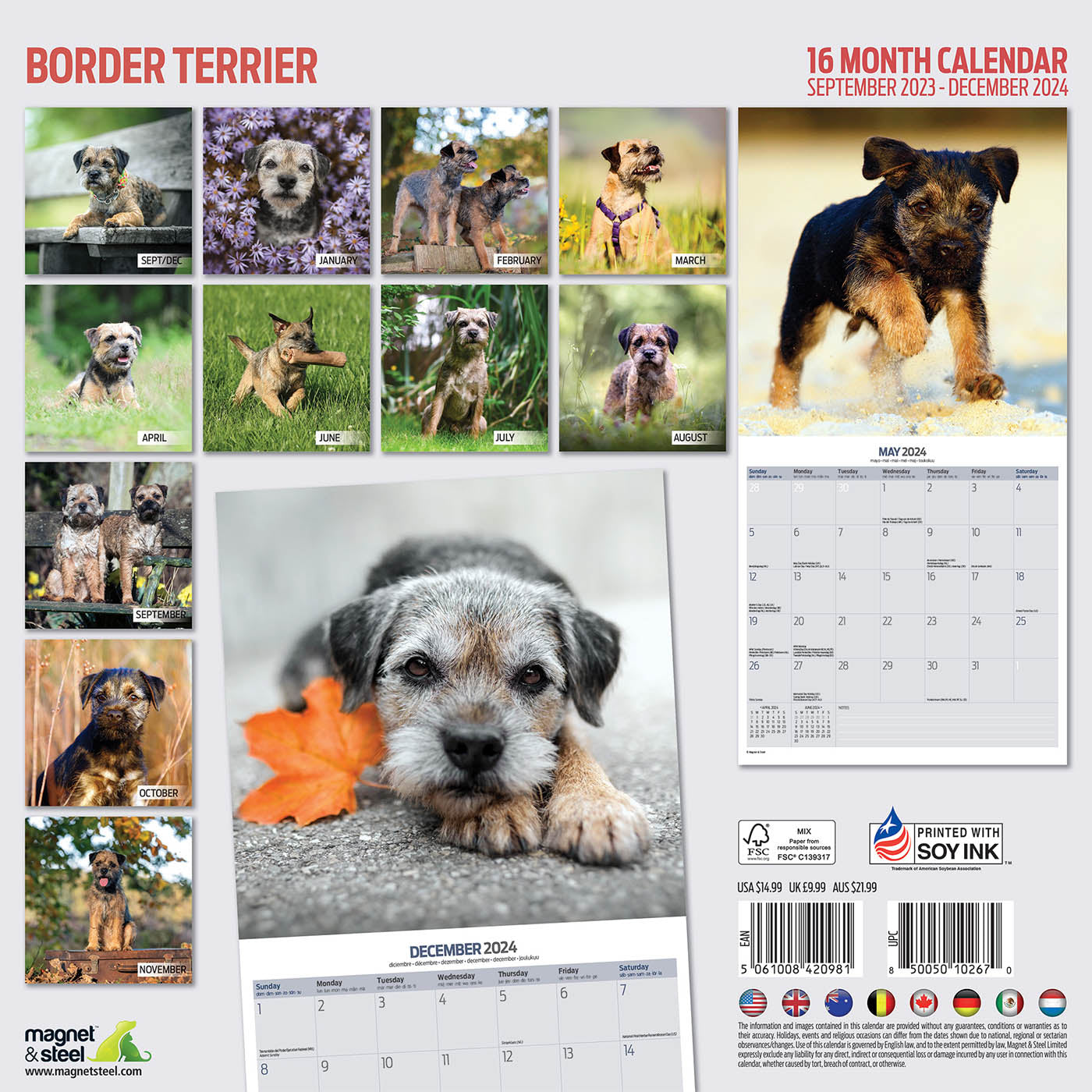 Border Terrier Traditional Calendar 2024