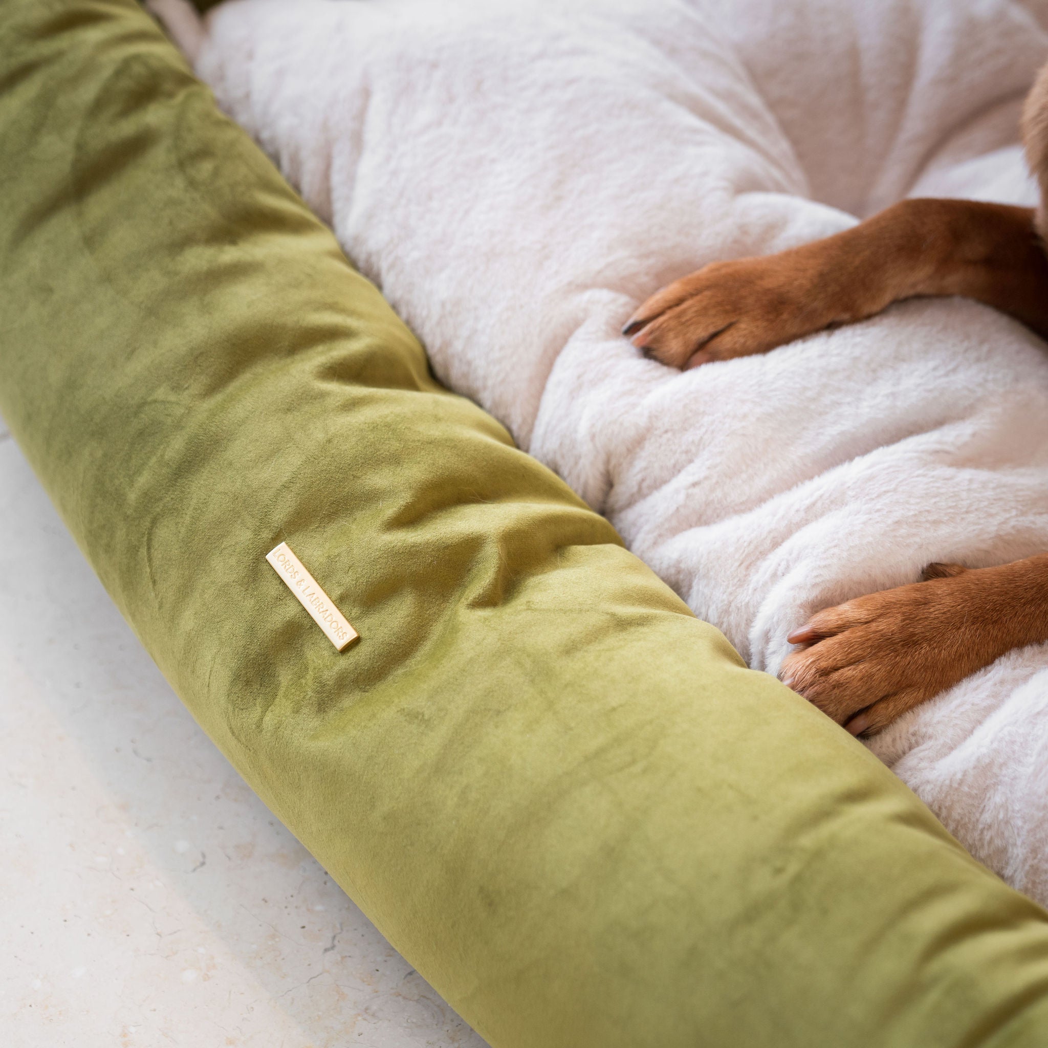 Box Bed For Dogs In Velvet Olive | Square Beds | Lords & Labradors