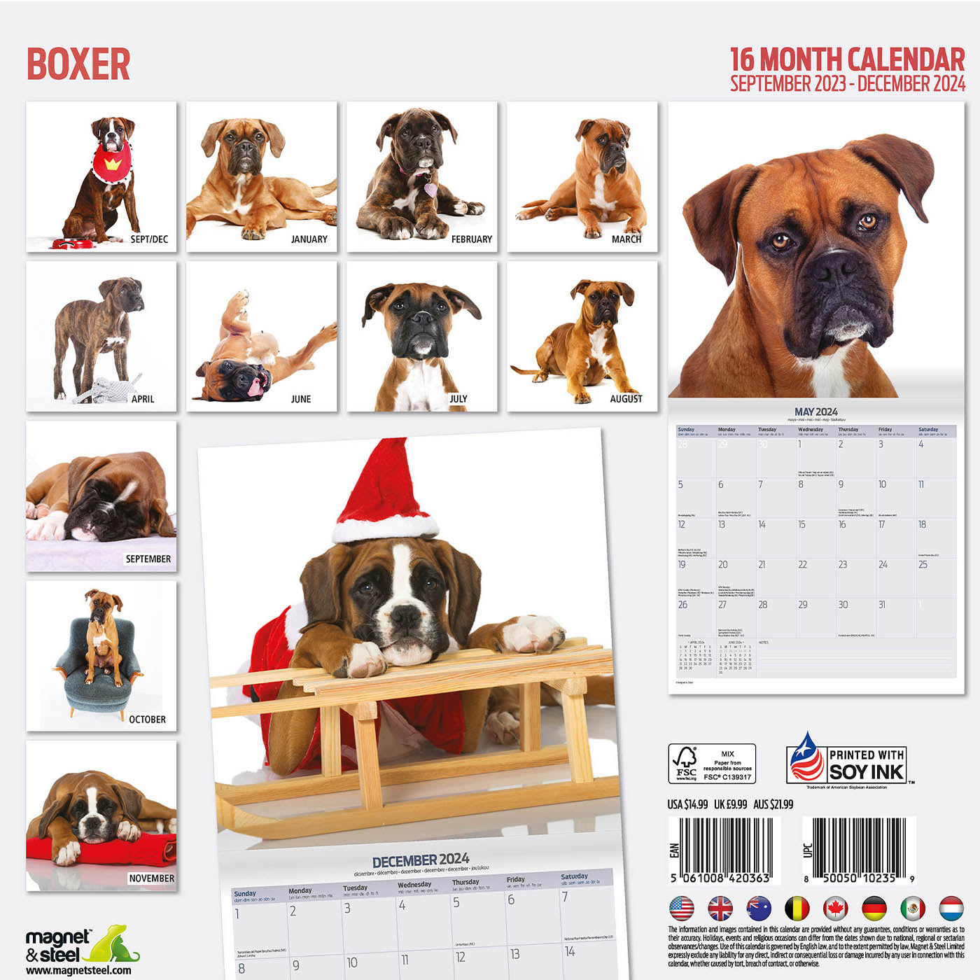 Boxer Modern Calendar 2024