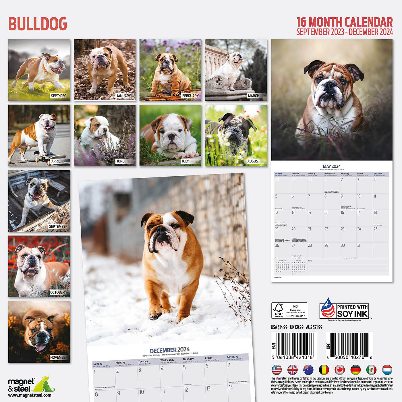 Bulldog Traditional Calendar 2024