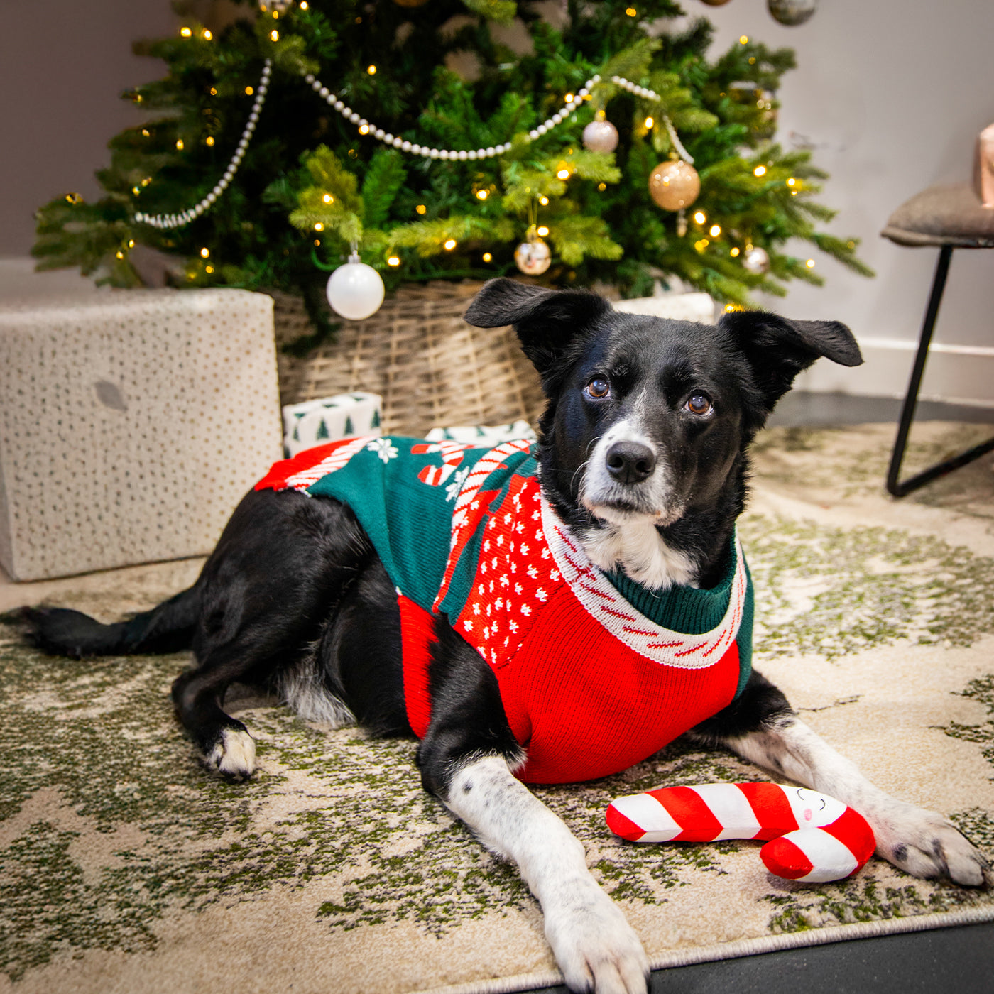 Candy Cane Christmas Gift Box