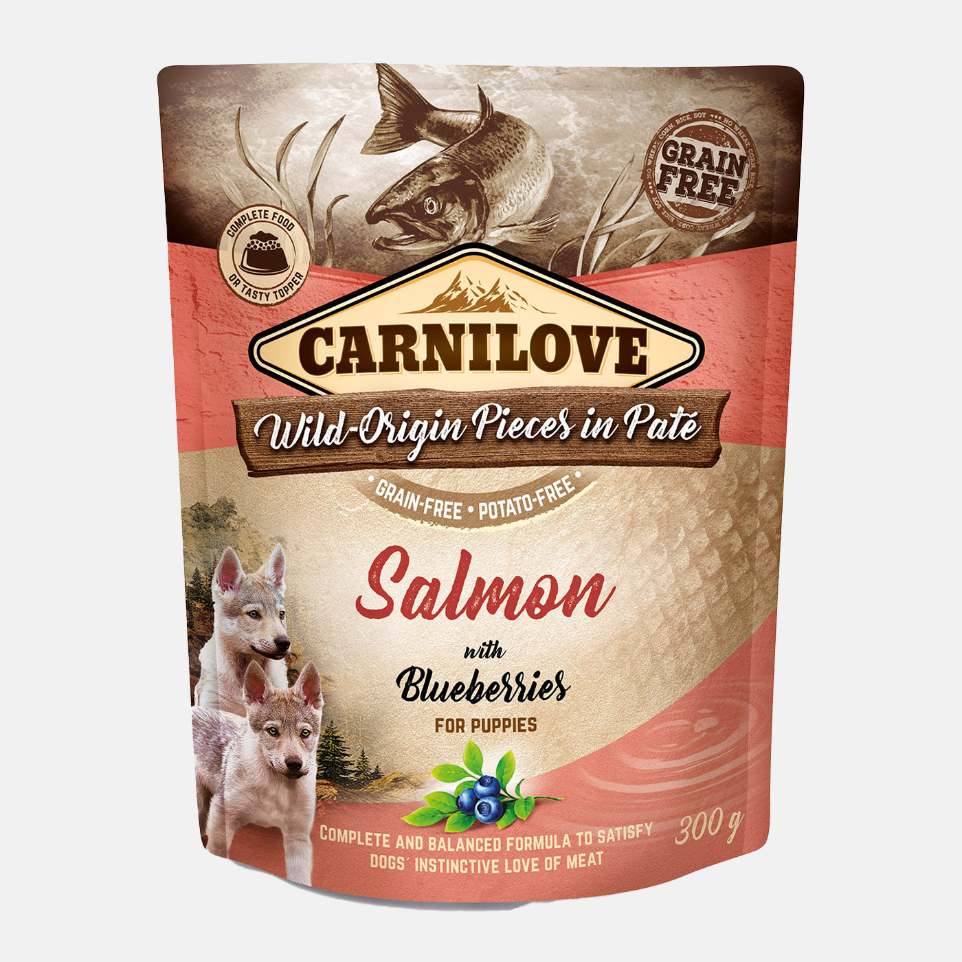 Carnilove Salmon with Blueberries Puppy Food (12x300g)