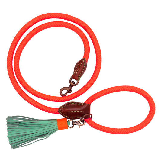 Carrot Cake Dog Lead by DWAM