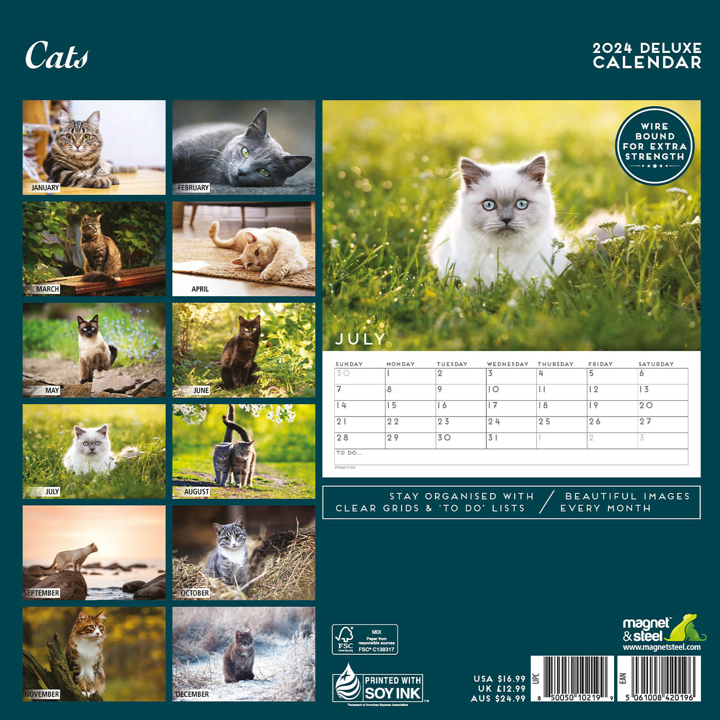 Cat Deluxe Calendar 2024