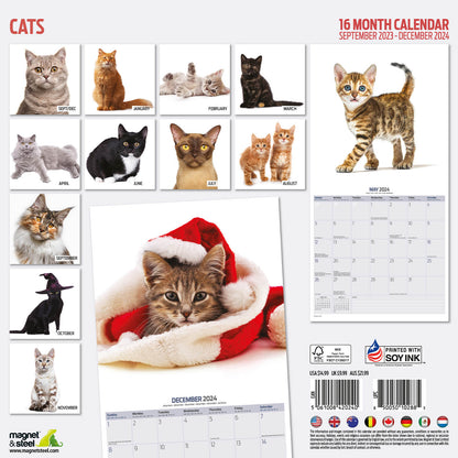 Cats Modern Calendar 2024