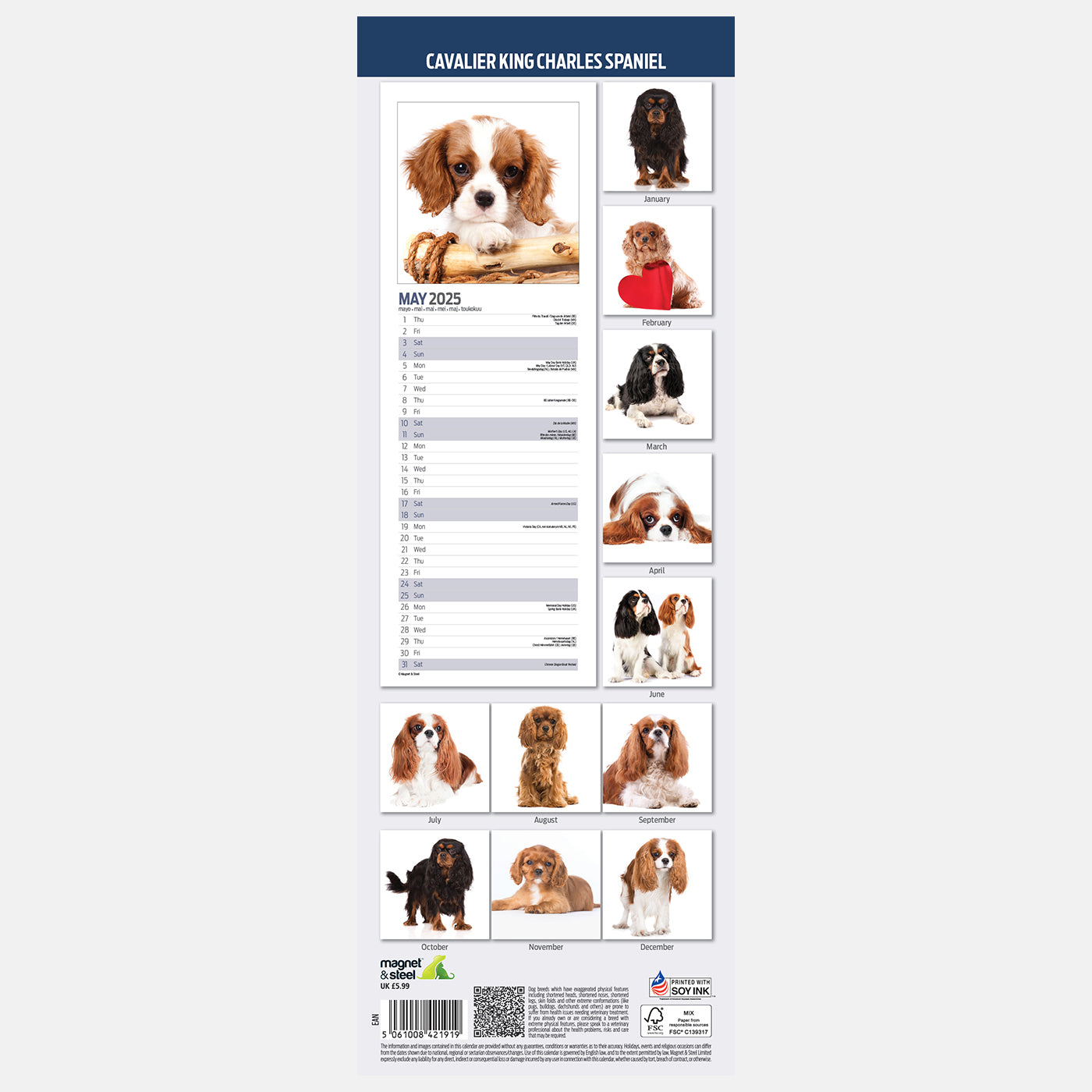 Cavalier King Charles Slim Calendar 2025 Lords Labradors Cavalier King Charles Slim Calendar 2025 Lords Labradors