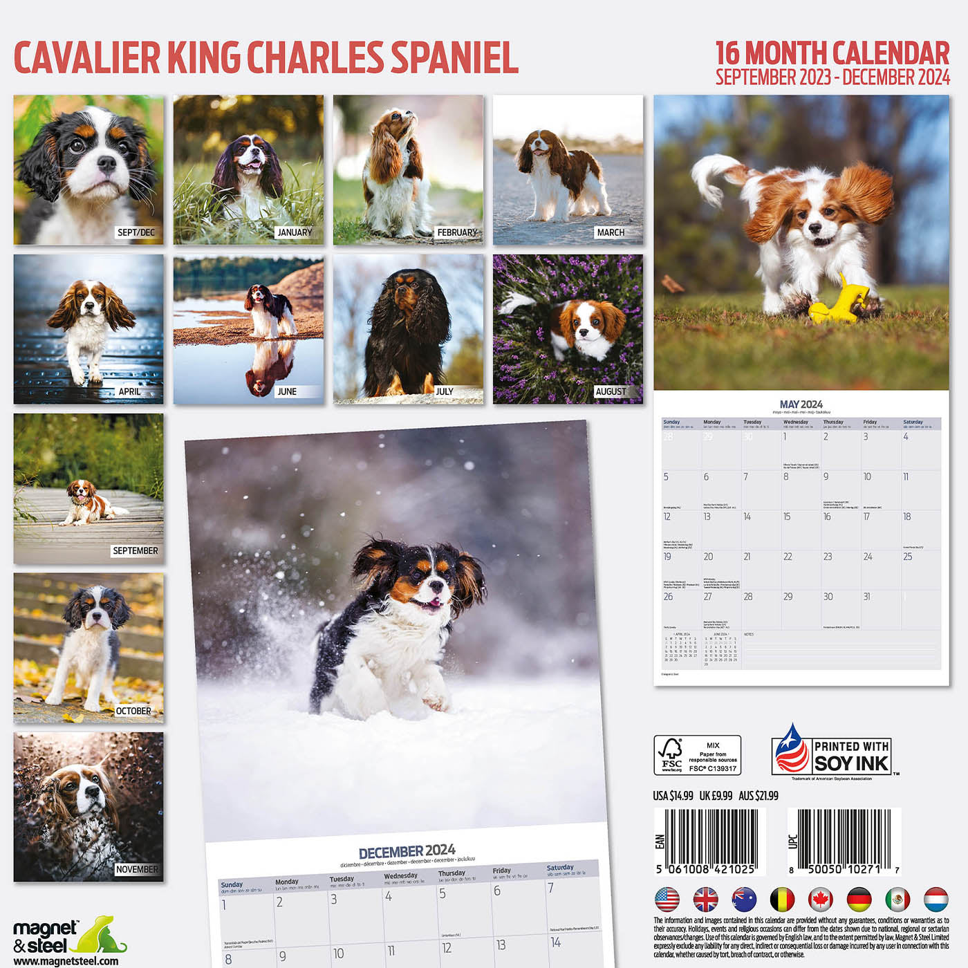 Cavalier King Charles Spaniel Traditional Calendar 2024