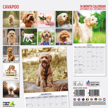 Cavapoo Traditional Calendar 2024
