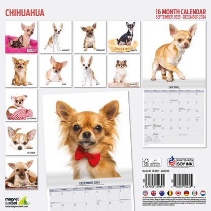 Chihuahua Modern Calendar 2024