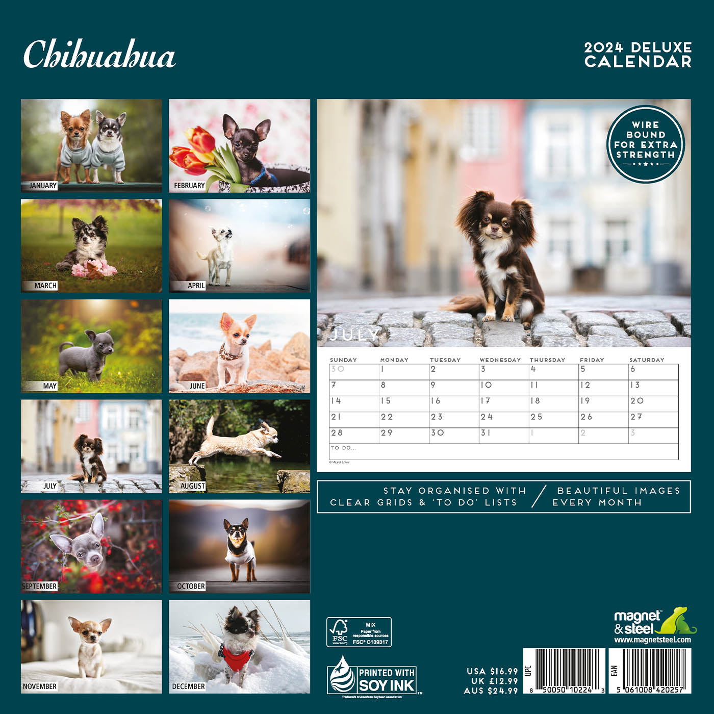 Chihuahua Deluxe Calendar 2024