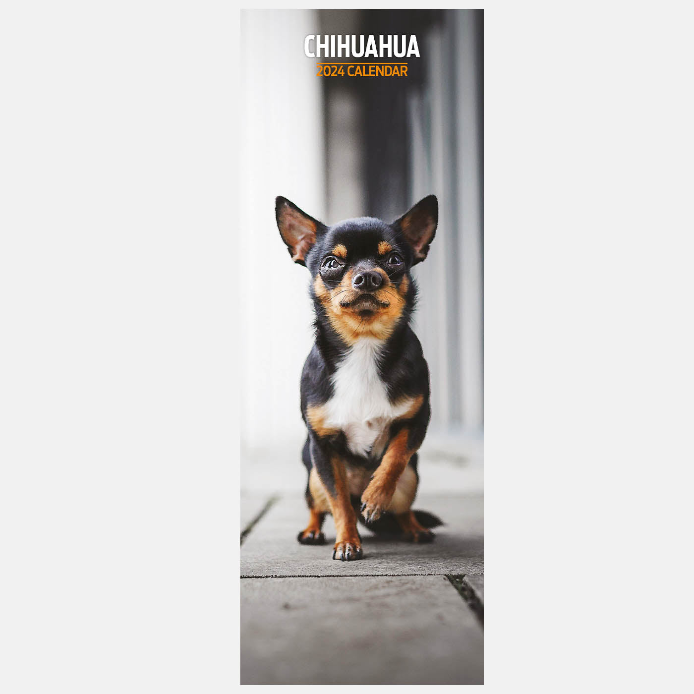 Chihuahua Slim Calendar 2024