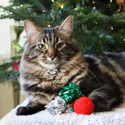 Christmas Cat Toy Stocking