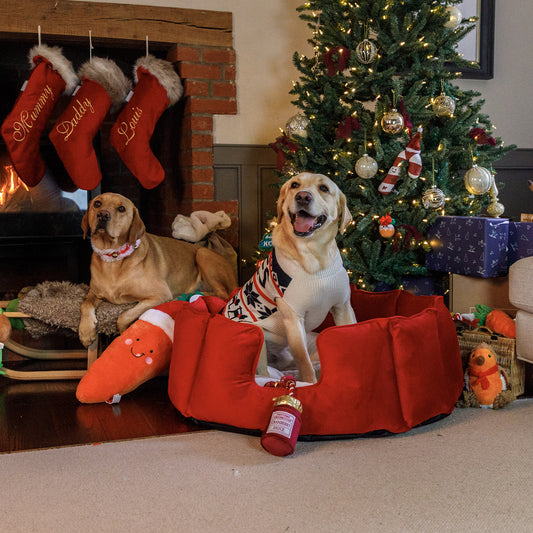 Christmas Edition High Wall Bed With Removable Covers by Lords & Labradors