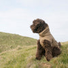 Cloud7 Helgoland Dog Raincoat Olive