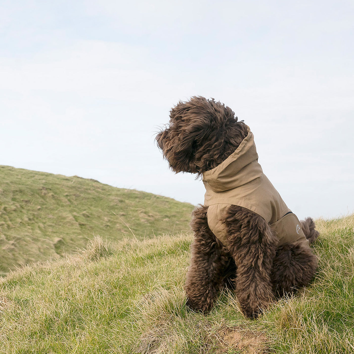 Cloud7 Helgoland Dog Raincoat Olive