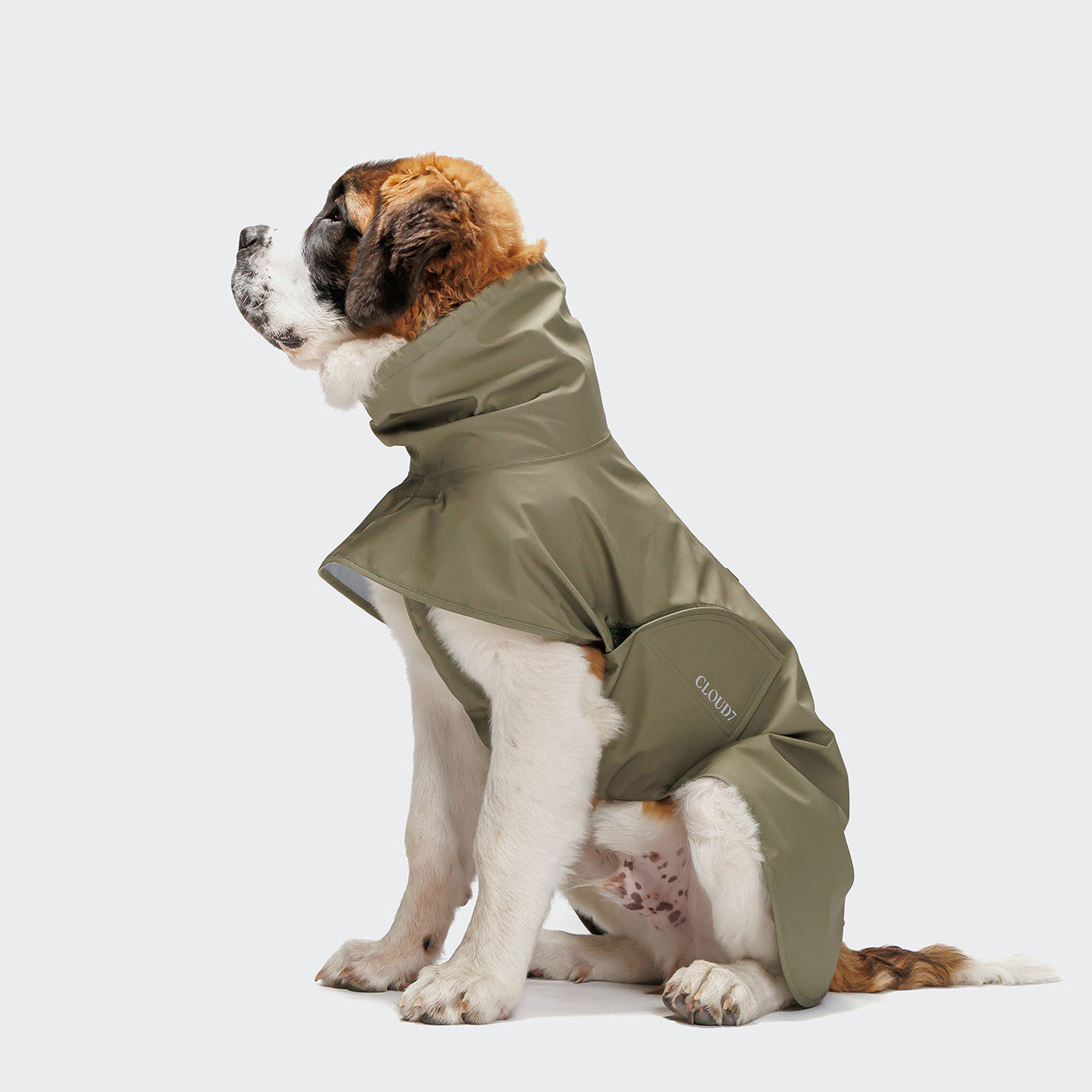 Cloud7 Helgoland Dog Raincoat Olive