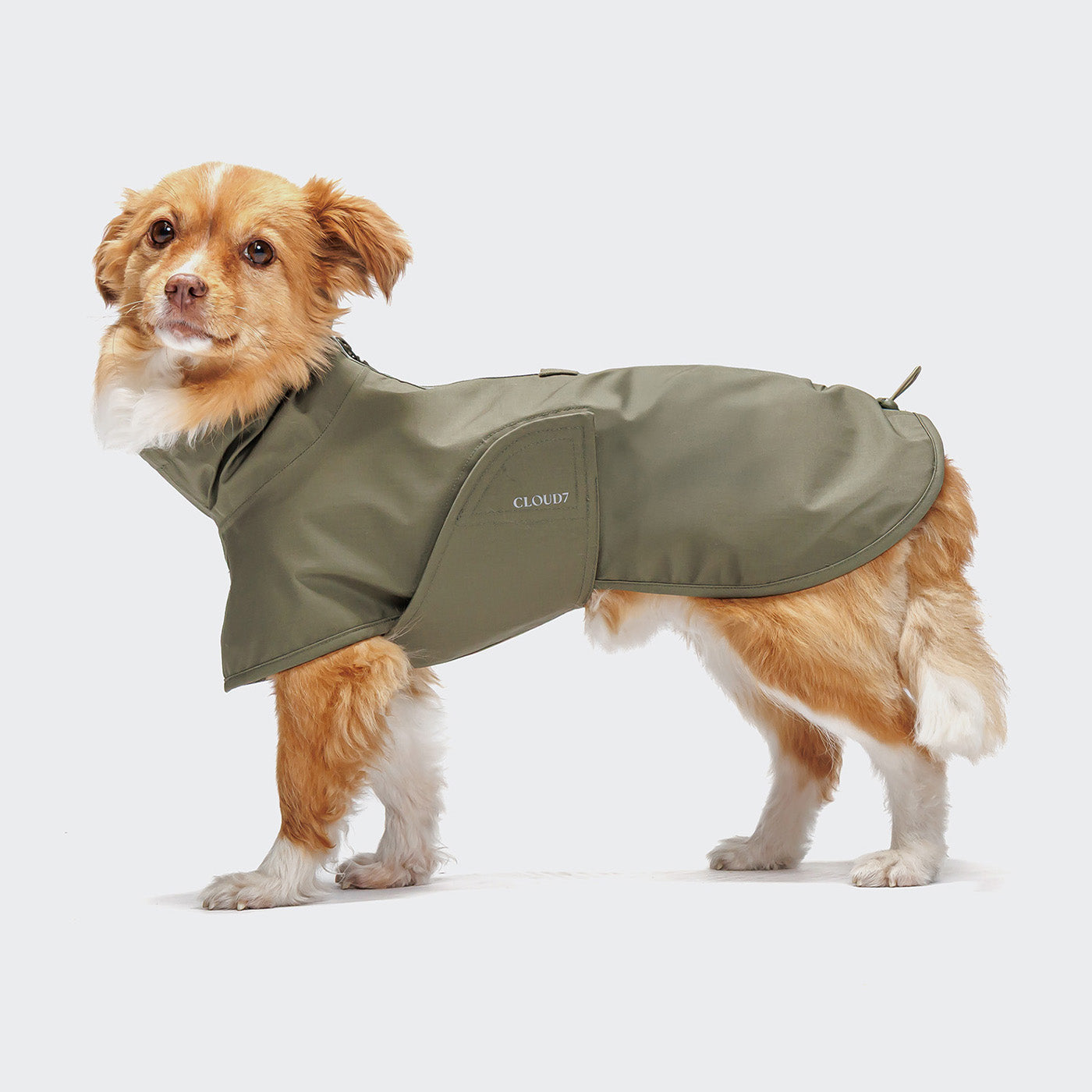 Cloud7 Helgoland Dog Raincoat Olive