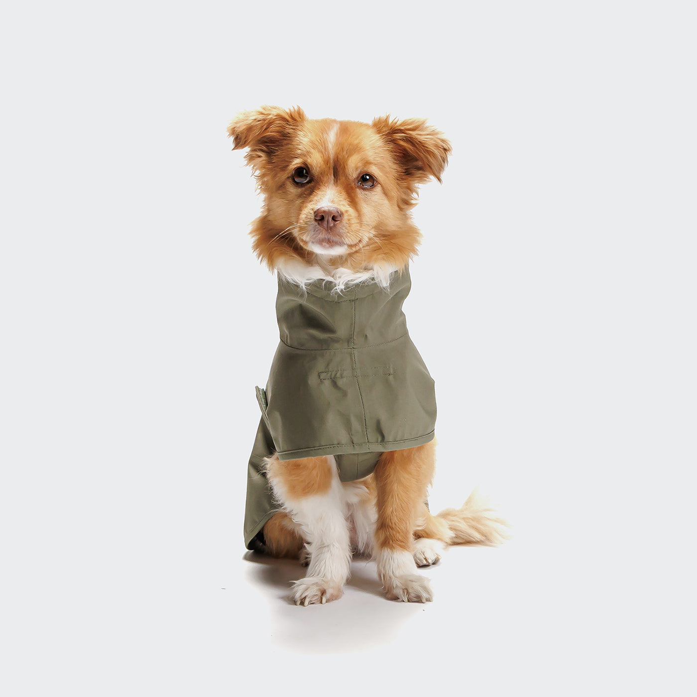 Cloud7 Helgoland Dog Raincoat Olive