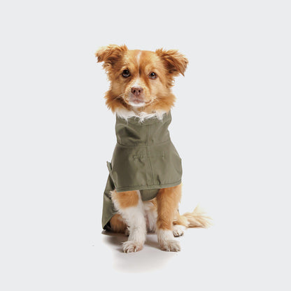 Cloud7 Helgoland Dog Raincoat Olive