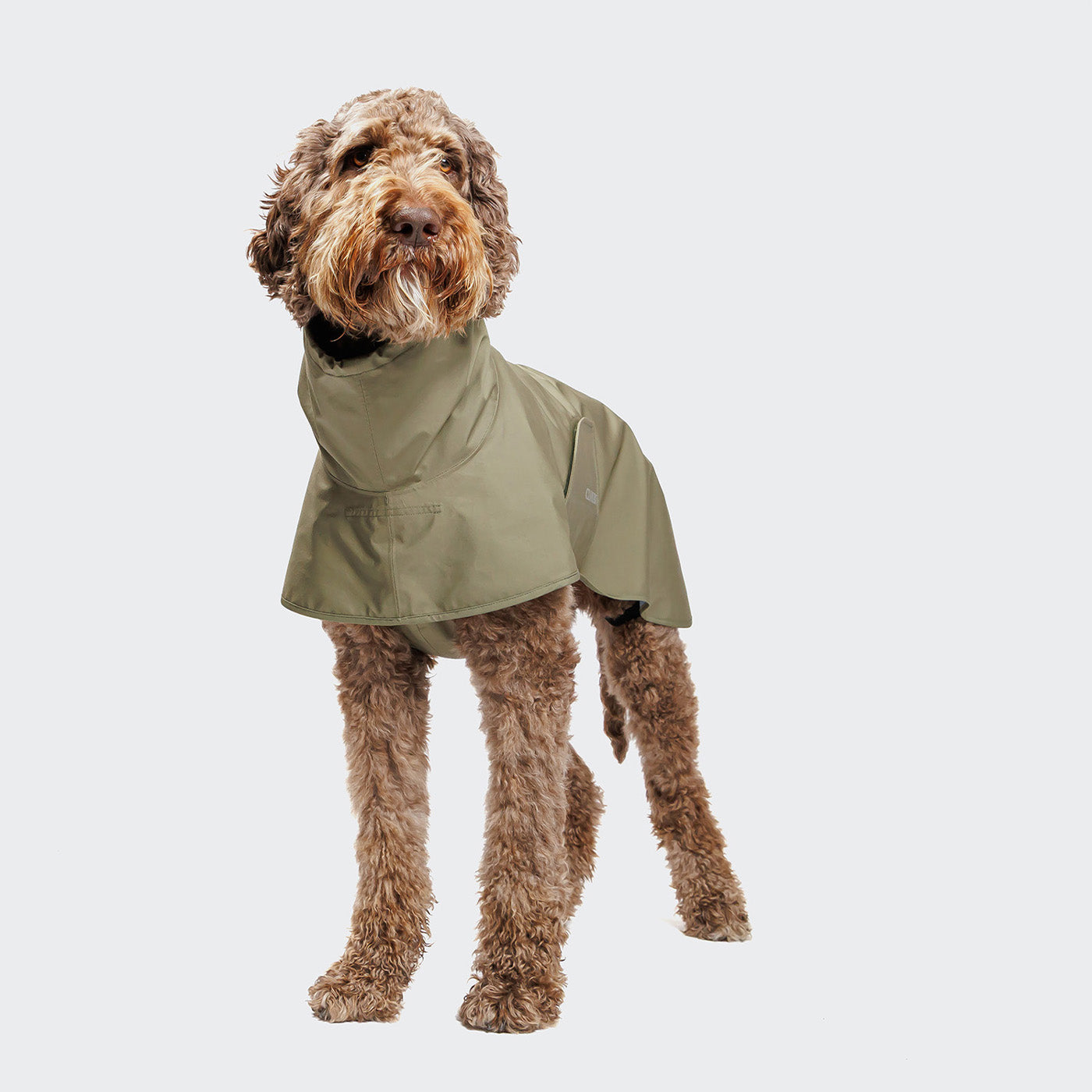 Cloud7 Helgoland Dog Raincoat Olive