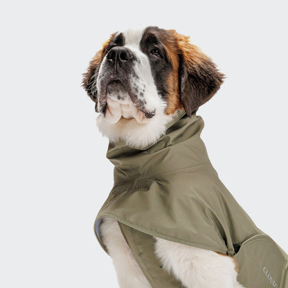 Cloud7 Helgoland Dog Raincoat Olive