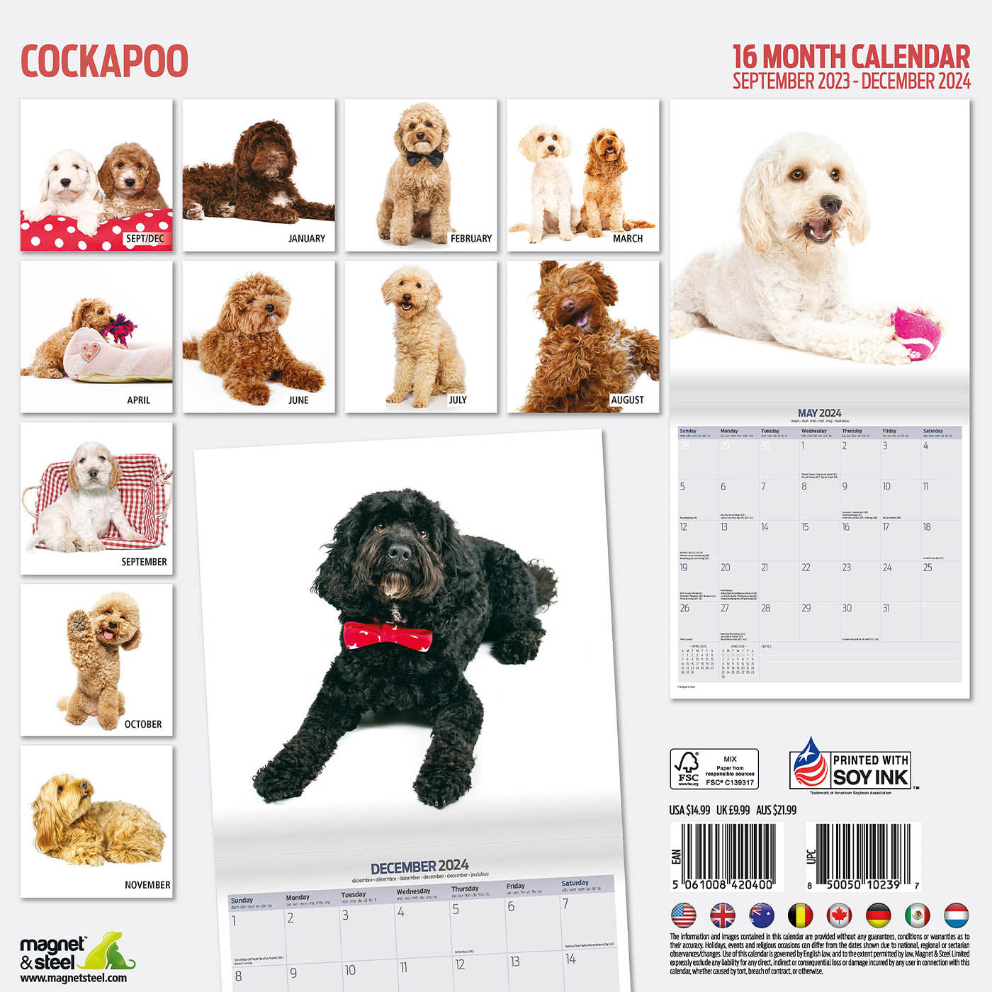 Cockapoo Modern Calendar 2024