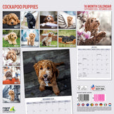 Cockapoo Puppy 2025 Traditional Calendar | Gifting | Lords & Labradors