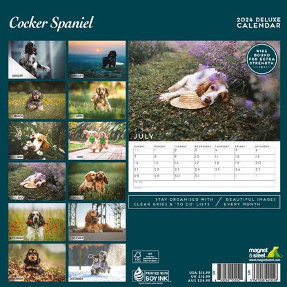 Cocker Spaniel Deluxe Calendar 2024