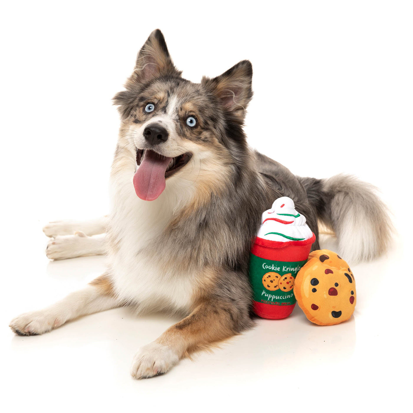 FuzzYard Cookie Kringle Puppuccino & Cookies - 3 Pack