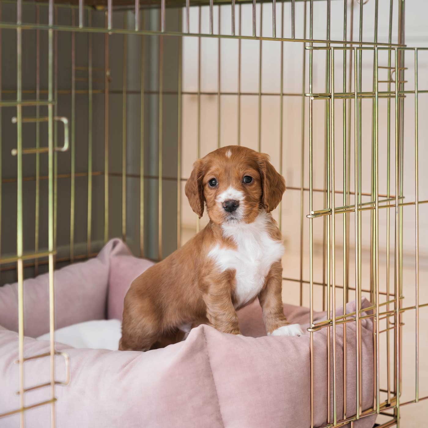 A closer look at Dog Crate With Calming Scents For Pets