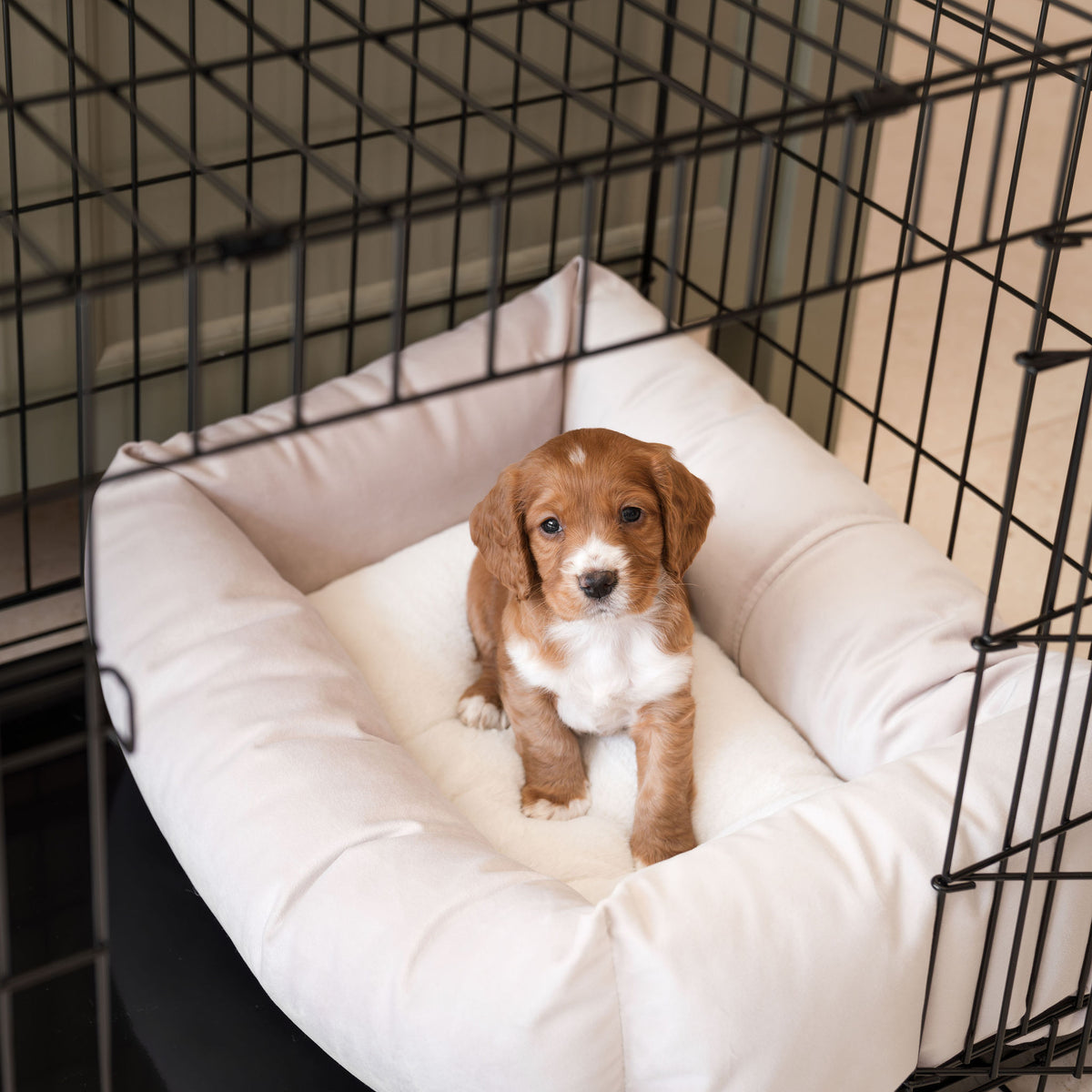 Stunning Dog Crate Fur Velvet Bed image
