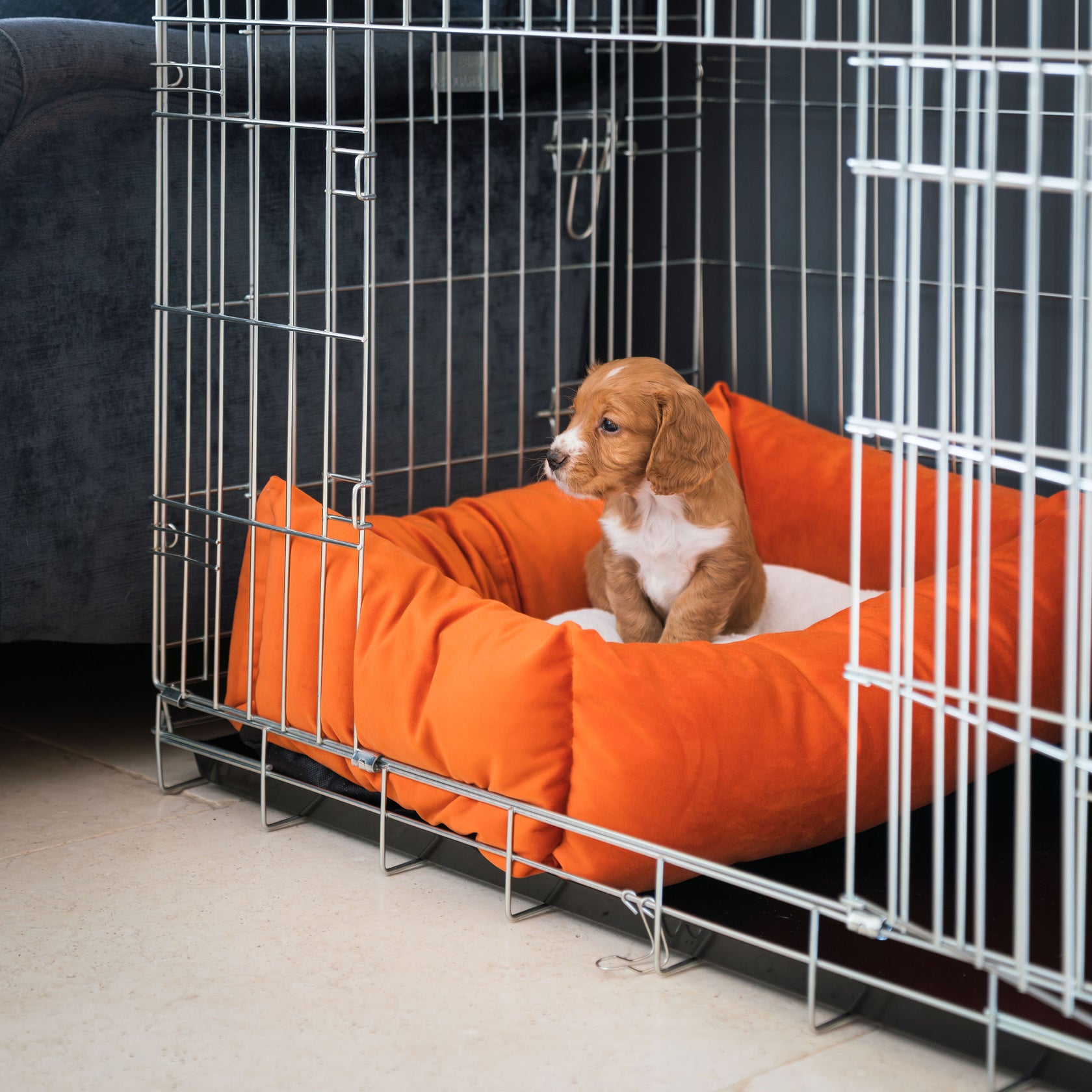Velvet Cosy & Calm Luxury Puppy Crate Bed In Pumpkin Lords & Labradors