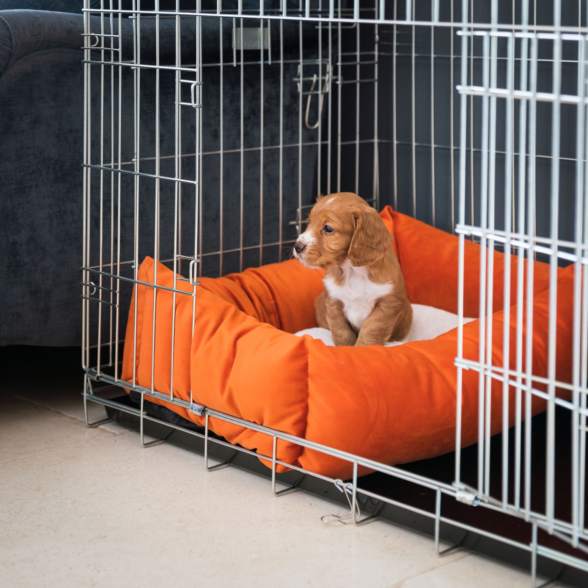 Velvet Cosy & Calm Luxury Puppy Crate Bed In Pumpkin Lords & Labradors