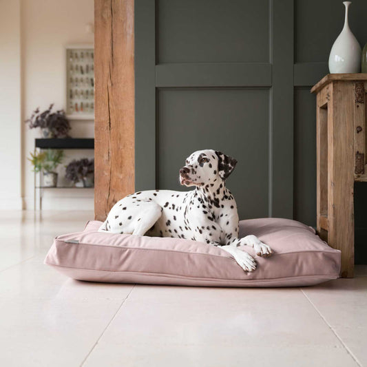 Dog Cushion in Blossom Velvet by Lords & Labradors