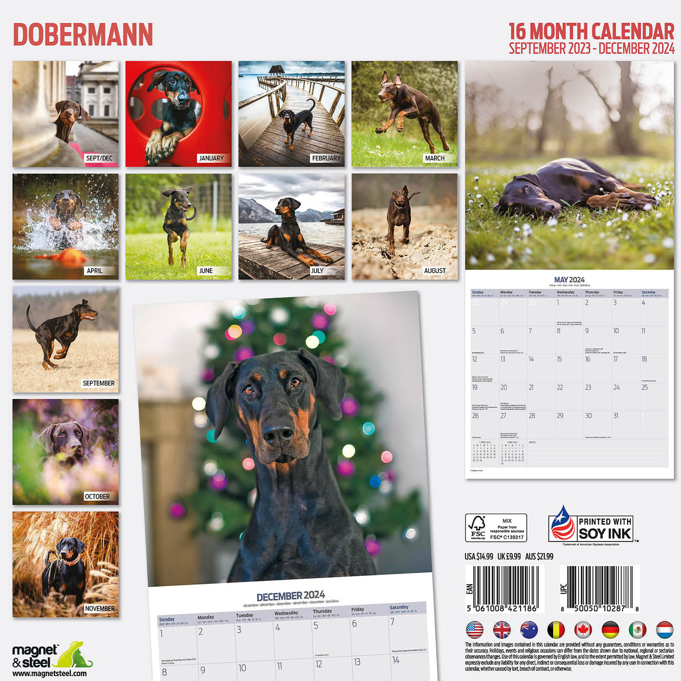 Doberman Traditional Calendar 2024